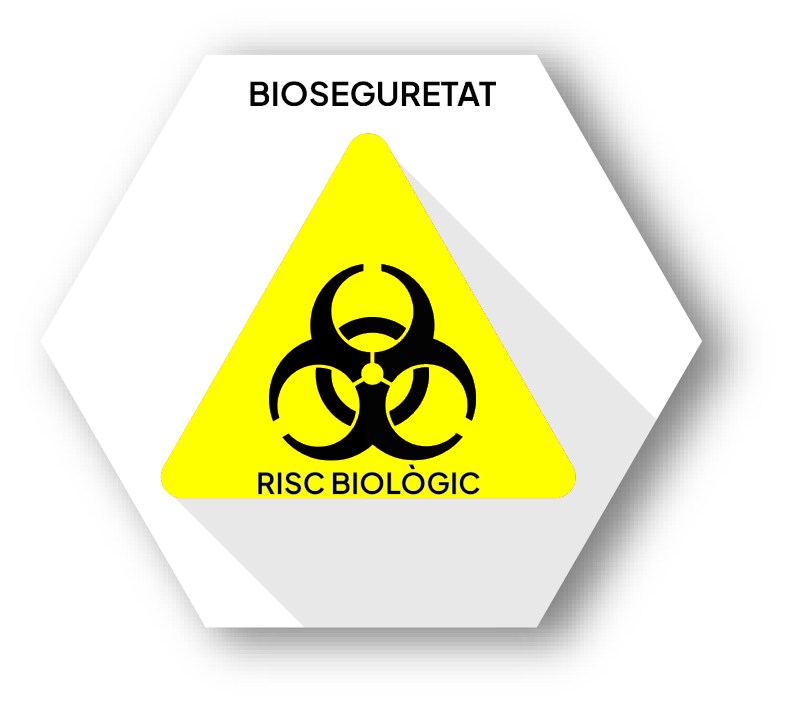 Neteja i desinfecció - Bioseguretat